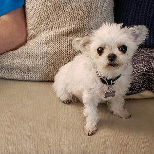 Meet your Posher, Lori